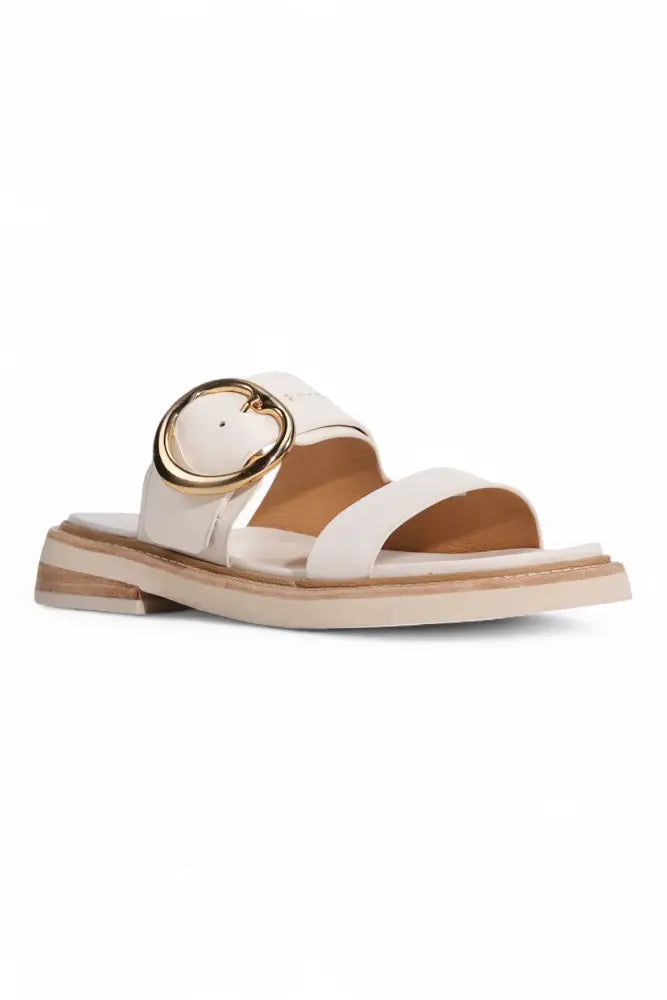 Stary Slide | Bone - Slides