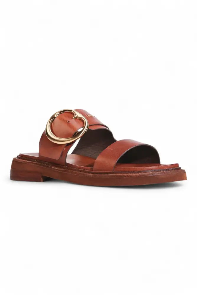 Stary Slide | Brandy - Slides