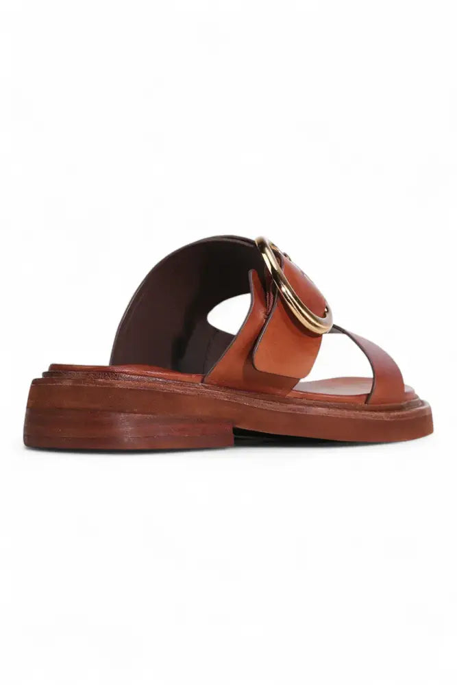 Stary Slide | Brandy - Slides